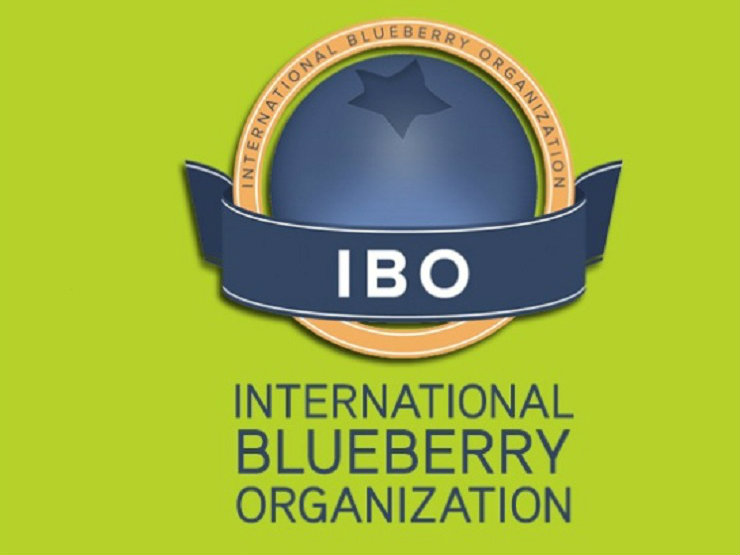 ROSSI CARGO GROUP SPONSOR OFICIAL DE IBO SUMMIT 2016